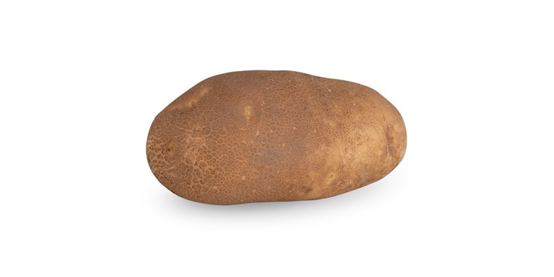 Rickey Russet › HZPC 