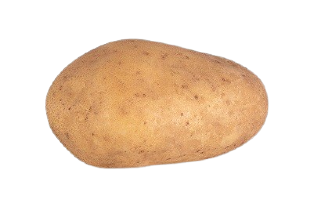 potato⋆︎* Vivaldi › HZPC