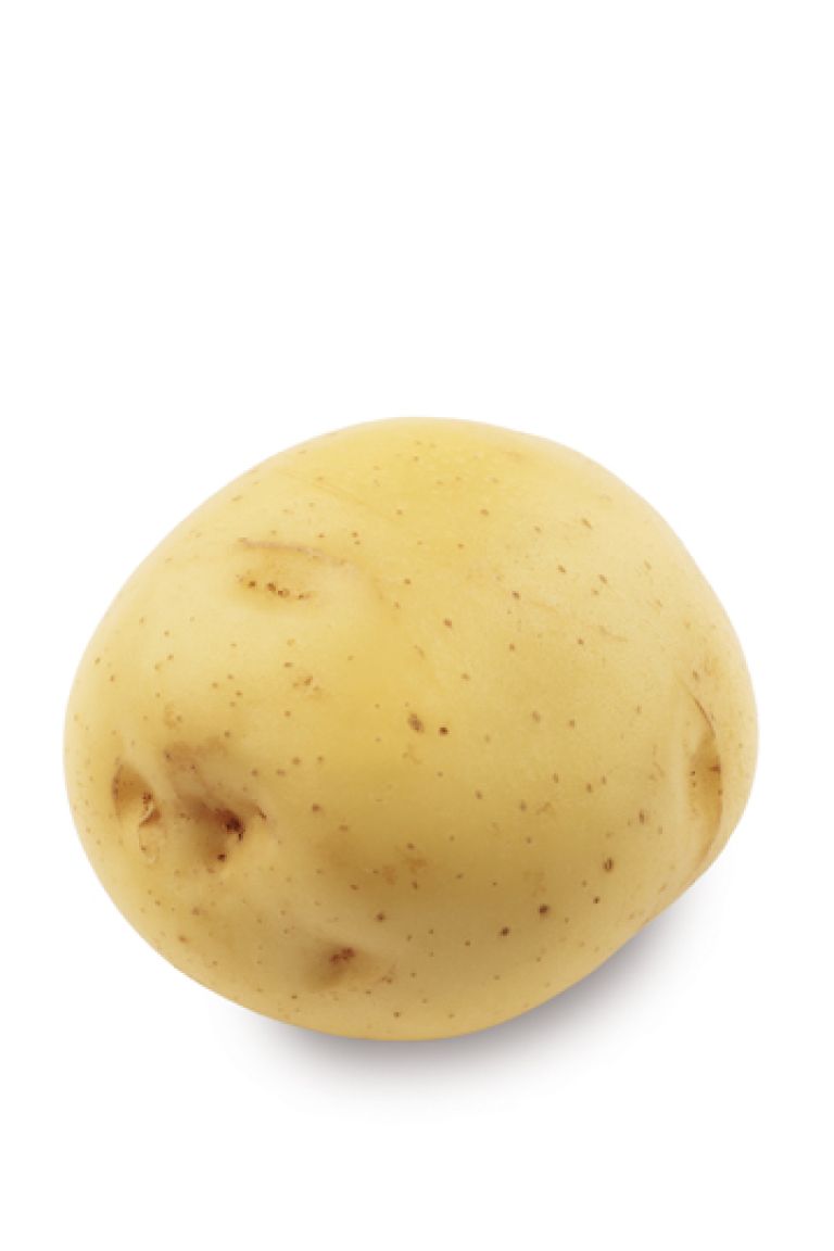 potato⋆︎* 0000000004729