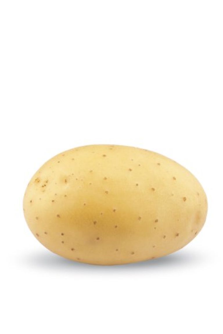 その他 POTATO 2018.01~2019.02,10 Sunita › HZPC