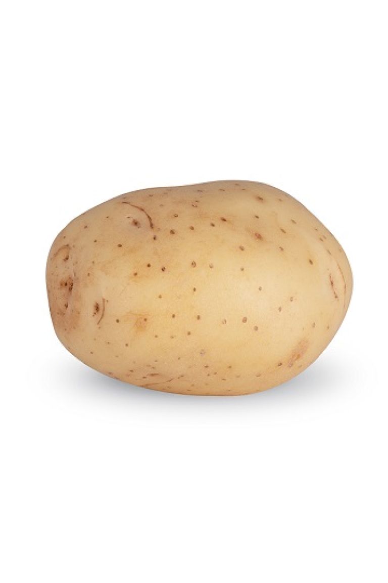 その他 POTATO 2018.01~2019.02,10 その他 POTATO 2018.01~2019.02,10 Revealing Genetic