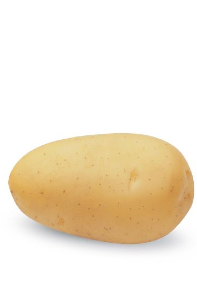 ビンテージ　作家　unknown golden potato object ビンテージ 作家 unknown golden potato object Potato 3D model