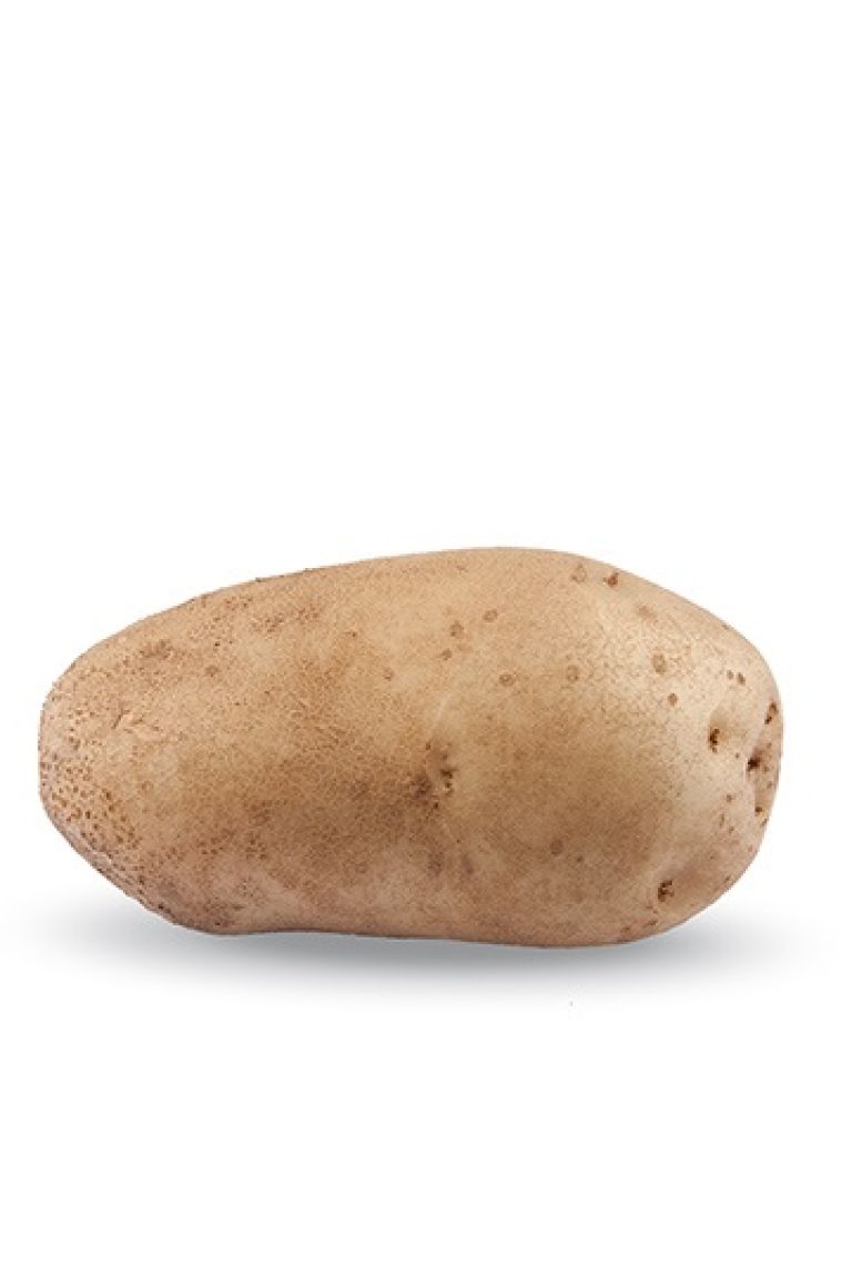 potato⋆︎* 0000000004729