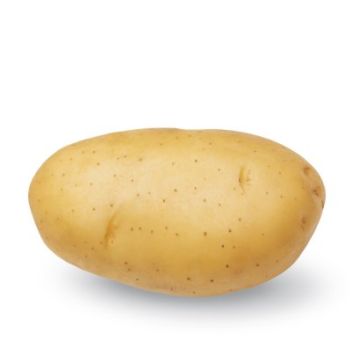 ビンテージ　作家　unknown golden potato object ビンテージ 作家 unknown golden potato object ビンテージ 作家