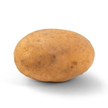 ビンテージ　作家　unknown golden potato object ビンテージ 作家 unknown golden potato object ビンテージ 作家