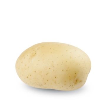 ビンテージ　作家　unknown golden potato object ビンテージ 作家 unknown golden potato object ビンテージ 作家