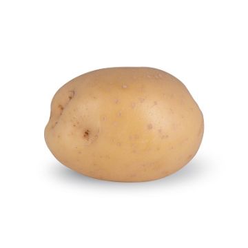 Norman.png