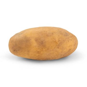 Travolta.png